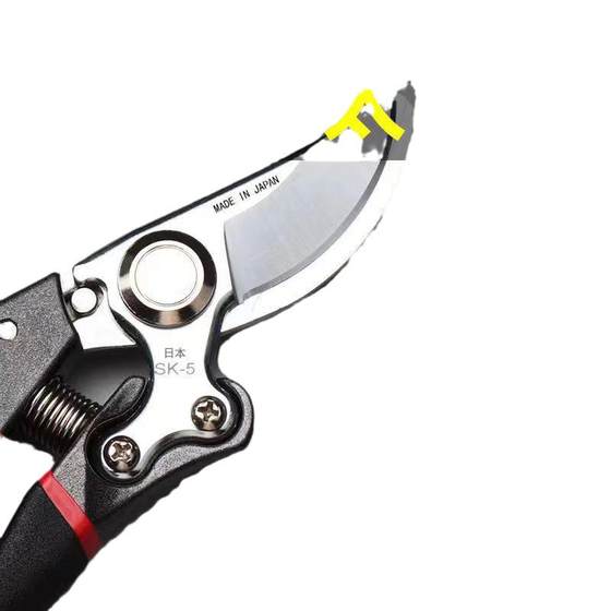 Original new SK5 new large scissors large, powerful branches and cut expensive branches scissors, flower and wood gardening
Original new SK5 new large scissors large, powerful branches and cut expensive branches scissors, flower and wood gardening