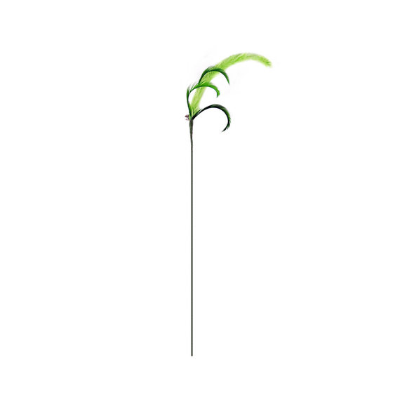 Home cat sauce Dog tail grass teasing cat stick pet cat interactive cat toy bell feather teasing cat pole
Home cat sauce Dog tail grass teasing cat stick pet cat interactive cat toy bell feather teasing cat pole