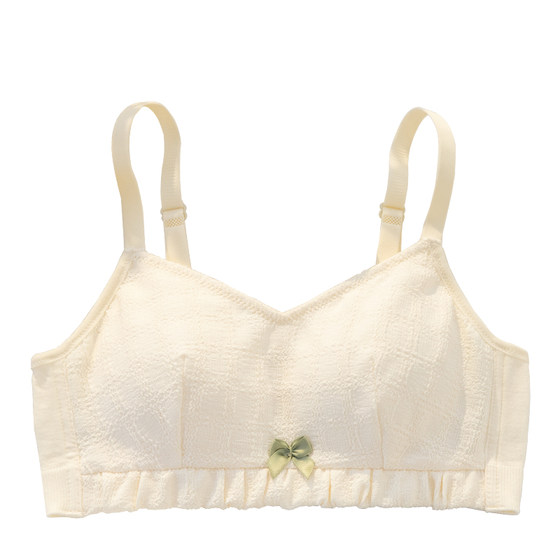 Strap-breasted underwear for women, thin model modal cotton girl students high school students gathering adjustment bra wrapping breasts
Strap-breasted underwear for women, thin model modal cotton girl students high school students gathering adjustment bra wrapping breasts