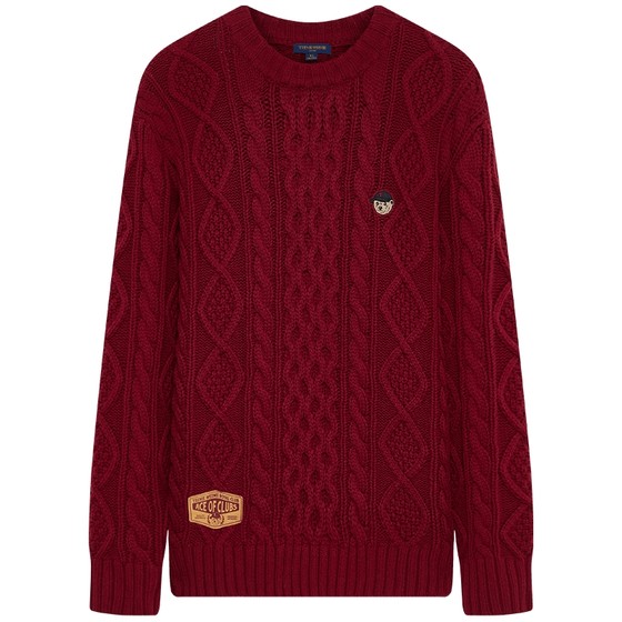 TeenieWeenie Bear Men's Casual Sweater Spring 2025 New Simple Retro Cable Knit Sweater
TeenieWeenie Bear Men's Casual Sweater Spring 2025 New Simple Retro Cable Knit Sweater