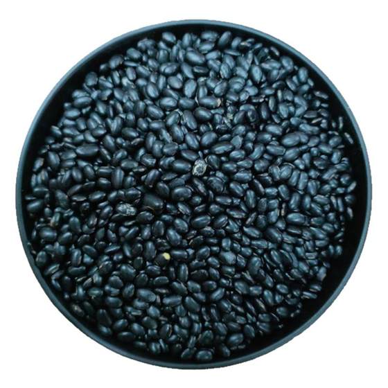 Farmer's yellow heart kidney-shaped black beans, farmer's own pure natural soy milk special for making yellow core grains, bulk 1*0.5kg
Farmer's yellow heart kidney-shaped black beans, farmer's own pure natural soy milk special for making yellow core grains, bulk 1*0.5kg