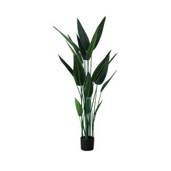 Bionic green plant canna simulated plant potted plant large Nordic decorative flower fake tree bonsai indoor living room ornaments