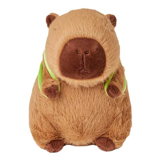 TheGreenParty Kapibala doll Large genuine capybara doll Gift for girls to accompany them
TheGreenParty Kapibala doll Large genuine capybara doll Gift for girls to accompany them