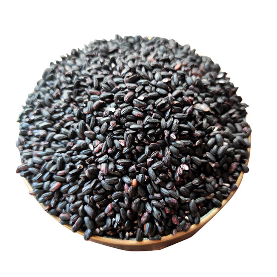 2024 Black Glutinous Rice Guizhou Specialty Blood Glutinous Rice Grains and Brown Rice Grains and Mixed Grains Farmer Bulk New Rice Glutinous Rice Cooking Porridge
2024 Black Glutinous Rice Guizhou Specialty Blood Glutinous Rice Grains and Brown Rice Grains and Mixed Grains Farmer Bulk New Rice Glutinous Rice Cooking Porridge