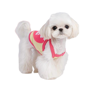 ແມວນ້ອຍ sling ໝາ ຫວານ ແລະ ໜ້າຮັກ ແມວ Maltese French Bulldog puppy spring and summer small dog clothes