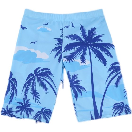 Beach swimming trunks Men's embarrassing loose and fast -drying panties can be lowered with large size fake swimming trunks manufacturers direct sales Beach swimming trunks Men's embarrassing loose and fast -drying panties can be lowered with large size fake swimming trunks manufacturers direct sales