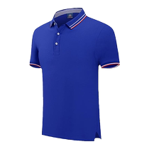 Summer short-sleeved work clothes custom t-shirt diy corporate culture polo shirt employee clothing clothing printing logo embroidery