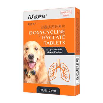 Pointe doxycycline hydrochloride tablets dog ຢາປິ່ນປົວຫວັດ kennel ໄອ ນໍ້າມູກໄຫຼ ສັດລ້ຽງ ຕ້ານການອັກເສບ Vernodo