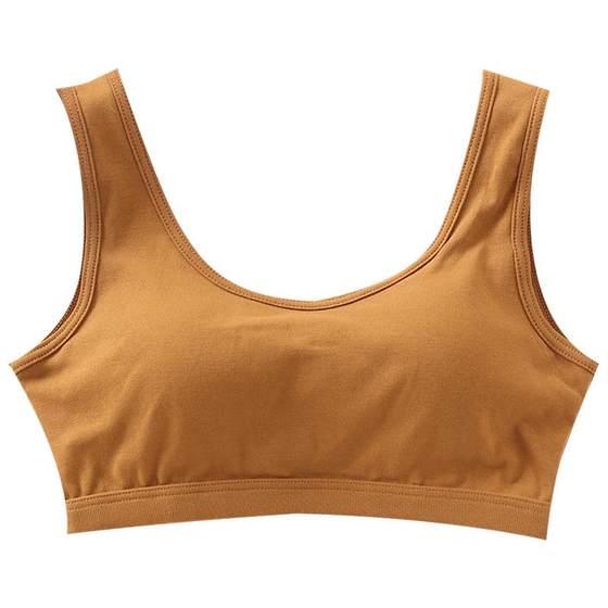 Underwear for women without steel rings, small breasts gathered in summer, thin and beautiful back, high school girls, strapless vest style bra Underwear for women without steel rings, small breasts gathered in summer, thin and beautiful back, high school girls, strapless vest style bra
