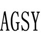 agsy旗舰店