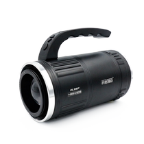 Pioneer Vertex DL95F 10th Anniversary Edition Night Fishing Light Fishing Light Black Pit Night Fishing Leisure