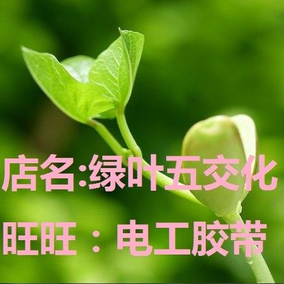 特斯拉员工曝内幕 特斯拉是这样回应的