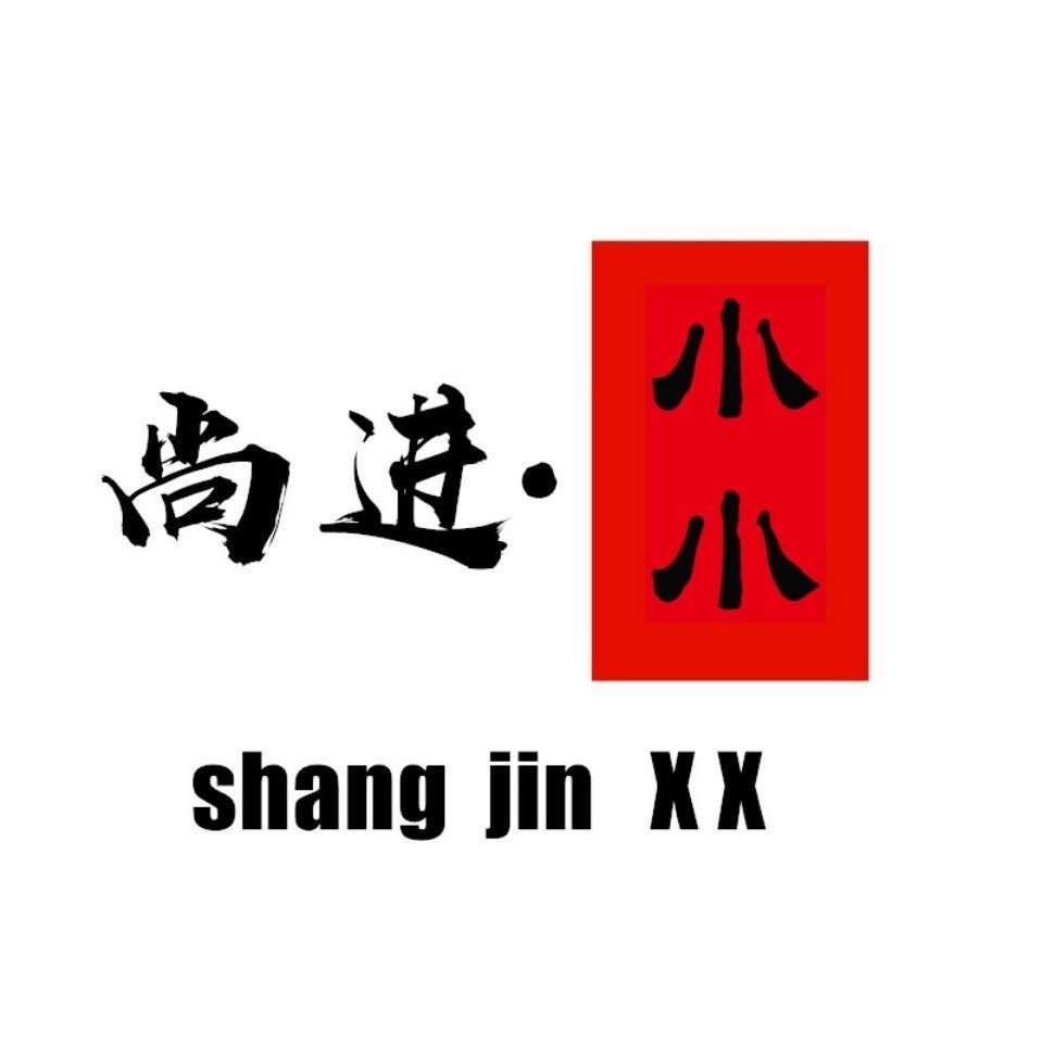 尚进小小旗舰店