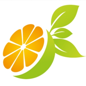 橙子赣南脐橙新鲜当季儿童水果5斤装包邮 珍珠小果江西赣州甜橙_查券