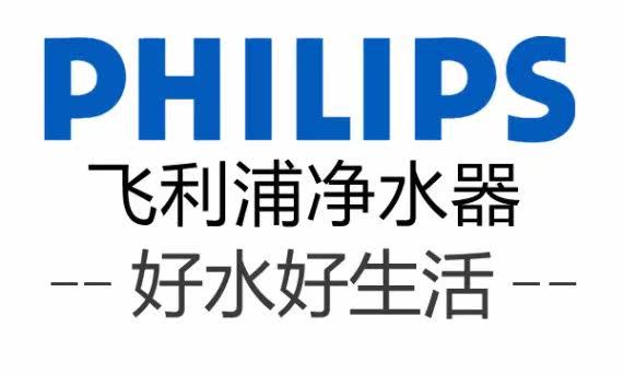 净水器 飞利浦5804 3811水龙头净水器家用直饮高端过滤器自来水 wp