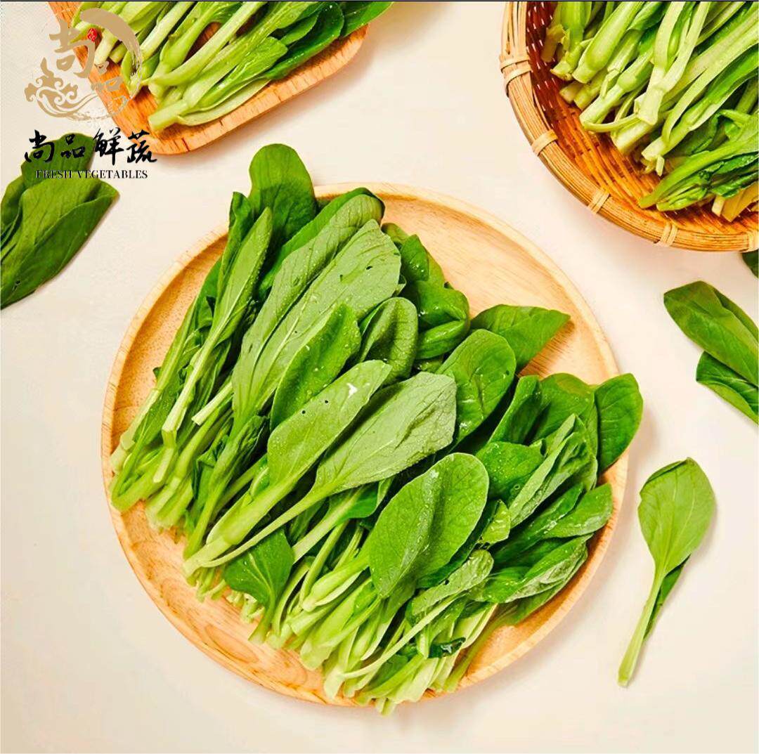 新鲜鸡毛菜