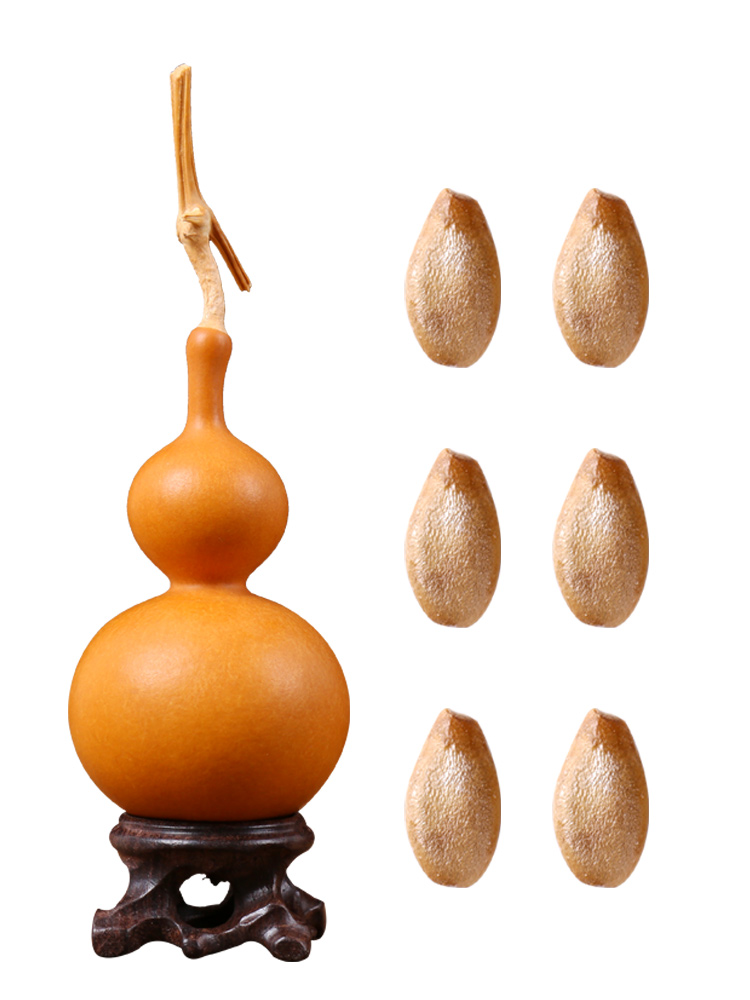 collectables - autograph gourd seeds, small mini hand twist in the waist seed garden set of big gourd seed giant