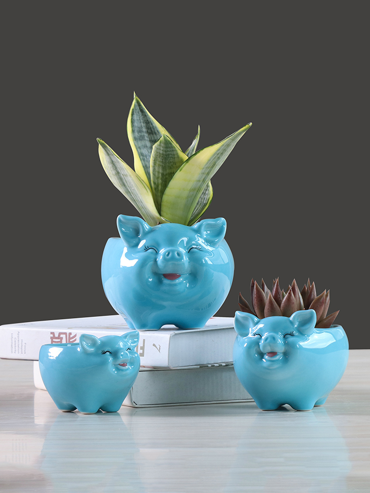 Simple cartoon fleshy flowerpot ceramic creative move, lovely pig sitting room plant white flower pot money plant