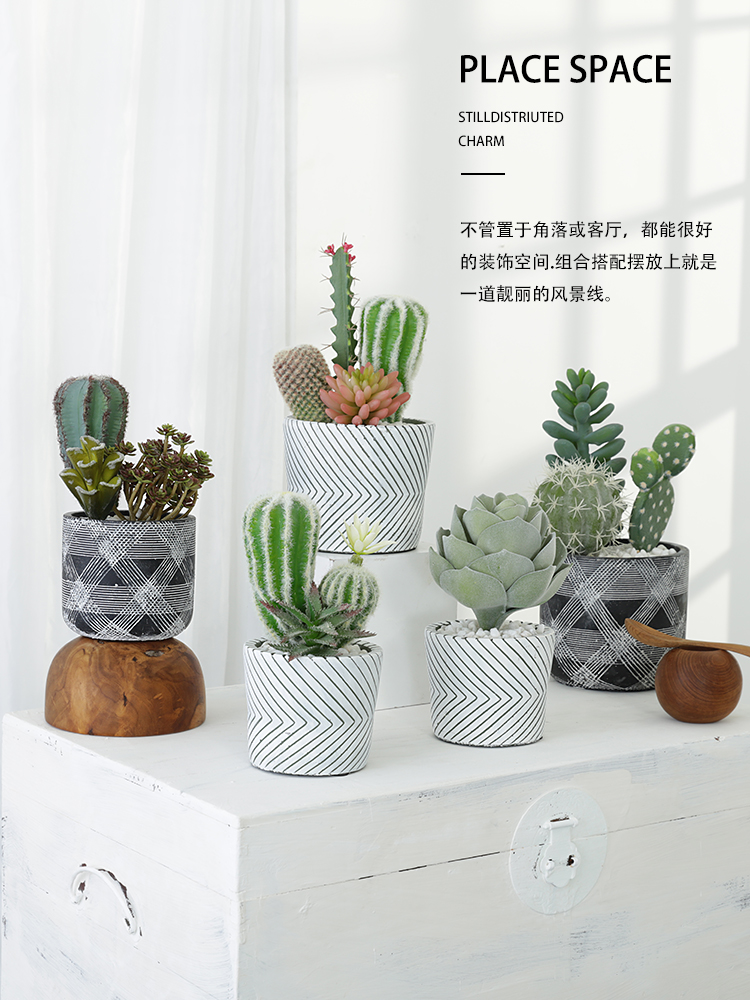 The house, The Nordic simulation more meat small indoor artificial flowers clay cactus green plant bonsai The plants sitting room adornment is placed