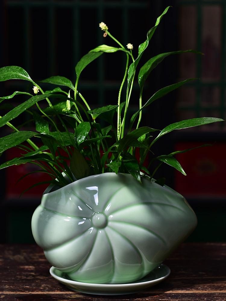 Ceramic POTS with creative money plant potted tray was oversized contracted orchid home indoor green plant bonsai flowers