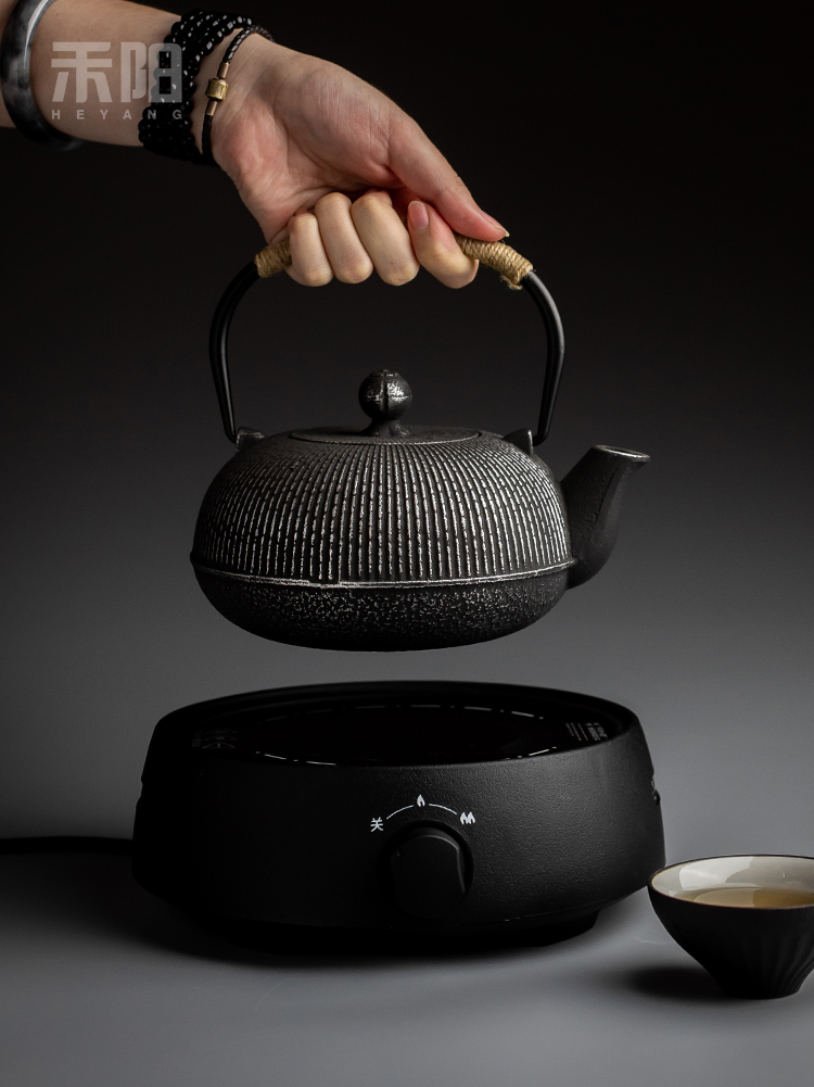 Send Yang Japanese iron pot of cast iron teapot electric TaoLu boiled tea boiled water burn tea kettle household tea set