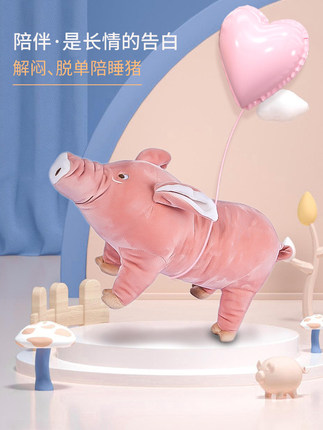 <b>宠哆哆旗舰店</b>
