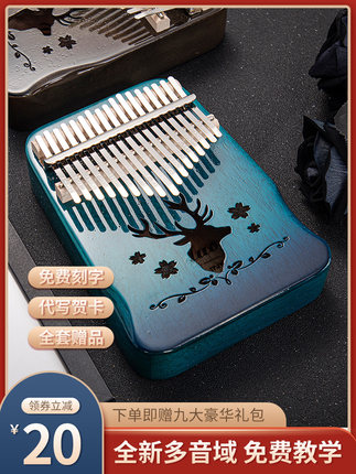 diduo蒂朵乐器旗舰店
