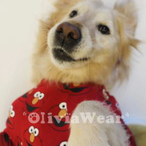 Two-color Sesame Street~New OliviaWear large dog Golden hair pure Cotton cartoon T-shirt Pet big dog clothes