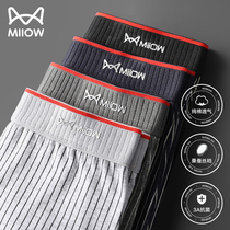 Cat Man Pants Pure Cotton Boys Four Corner Pants Teenagers Antibacterial Crotch Flat Corner Shorts Underpants Underpants Athletic