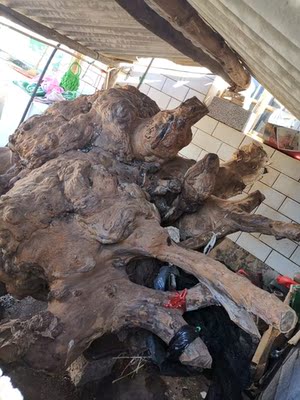 宝贝不错,厚,推荐购买 宝贝不错,厚,推荐购买