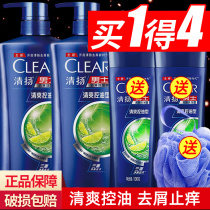 Qingyang mens special shampoo Anti-dandruff shampoo lotion Oil control shampoo cream Anti-itching flagship store Official flagship store