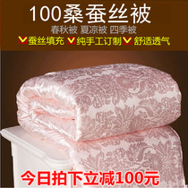 Xia Liang quilt 100% warm 4-8kg mother quilt spring autumn Tongxiang silk quilt mulberry silk winter quilt core air conditioning quilt