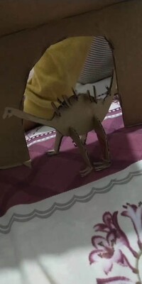 很好的，老板送的，谢谢美女