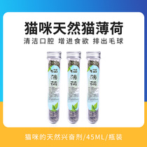 Cat Mint Grass Stew Hair Balls Young Cat Mint Balls Clean Oral Cat Snacking Hair Fresh Breath Cat Supplies