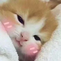 很薄,很舒服 很薄,很舒服