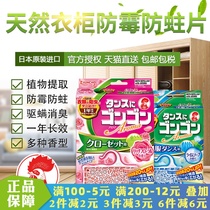Golden bird KINCHO insect repellent anti-moth wardrobe with mildew-proof sheet natural anti-bug sheet Japanese imported drawer without camphor