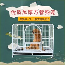 Dog cage Small dog dog pet dog dog dog dog dog dog dog dog dog cage