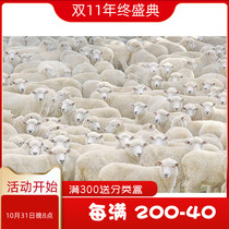 Spot beverly Japan imported puzzle 1000 pieces sheep hell hypnosis