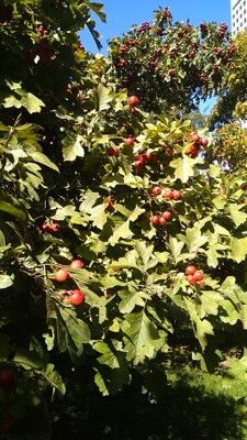 物美价廉的好宝贝，不要犹豫质量了真的杠杠的