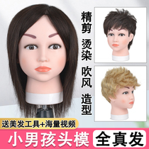 Hairy head model All real hair doll head barber shop apprentice haircut head can burn fake head