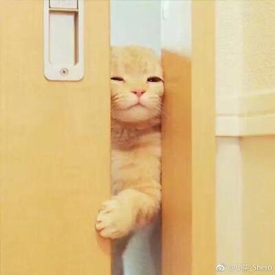 好好好好好好好好好好好好好好好好好好好好好好好好好好好好好好好好好好好好好好好好好好好好好好好好好好好好好好好好好好好好好好好好好好好好好好好好好好好好好好好好好好好好好好好好好好好好好好好好好好好好好好好好好好好好好好好好好好好好好好好好好好好好好好好好好好好好好好好好好好好好好好好好好好好好好好好好好好好好好好好好好好好好好好好好好好好好好好好好好好好好好好好好好好好好好好好好好好好好好好好好好好好好好好好好好好好好好好好好好好好好好好好好好好好好好好好好好好好好好好好好好好好好好好好好好好好好好好好好好好好好好好好好好好好好好好好好好好好好好好好好好好好好好好好好好好好好好好好好好好好好好好好好好好好好好好好好好好好好好好好好好好好好好好好好好好好好好好好好好好好好好好好好好好好好好好好好好好好好好好好好