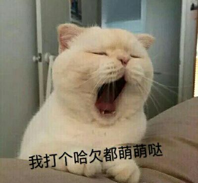 To understand the maketing concept, it is only necessary  to understand the difference between marketing and selling . Not too many years ago,most industries concentrated primarily on the efficient production of goods,and then relied on "persuasive salesmanship "to move as much of these goods as possible.Such production and selling focuses on the needs of the sellers to produce goods and then convert them into money.     Marketing,on the other hand ,focuses on the wants of consumers. It begins w