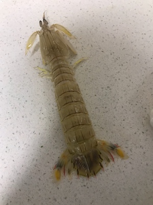 以为会显老 没想到挺不错 挺显白的 哈哈哈哈哈哈哈哈哈哈哈哈哈哈哈哈哈哈哈哈哈哈哈哈哈哈哈哈哈哈哈哈哈哈哈哈哈哈哈哈哈哈哈哈哈哈哈哈哈哈哈哈哈哈哈哈哈哈哈哈哈哈哈哈哈哈哈哈哈哈哈哈哈哈哈哈哈哈哈哈哈哈哈哈哈哈哈哈哈哈哈哈哈哈哈哈哈哈哈哈哈哈哈哈哈哈哈哈哈哈哈哈哈哈哈哈哈哈哈哈哈哈哈哈哈哈哈哈哈哈哈哈哈哈哈哈哈哈哈哈哈哈哈哈哈哈哈哈哈哈哈哈哈哈哈哈哈哈哈哈哈哈哈哈哈哈哈哈哈哈哈哈哈哈哈哈哈哈哈哈哈哈哈哈哈哈哈哈哈哈哈哈哈哈哈哈哈哈哈哈哈哈哈哈啊哈哈哈哈哈哈哈哈哈啊哈哈哈哈哈哈哈啊哈哈哈哈哈