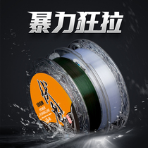 Canfishing Nivoi Squid Fishing Line Main Line Sub-Line Fishing Line Super Pull Bench Fishing Line Nylon Wire Fishing Gear Supplies