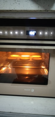 真实使用感受评测西班牙FAGOR法格智能蒸烤箱怎么样,操作复杂吗,老人会用吗