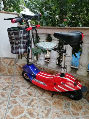 体验raldey电动车怎么样,这个是什么牌子?电池续航能力好吗?