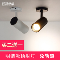 led track light clothing store spotlight 20w30w ceiling rail surface exhibition hall COB ceiling Wall spotlight