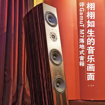 Changye Audio Agent Danish origin imported Jiami GamuT M7 flagship fever HIFI floor box