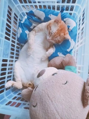 说说OBB卫生巾怎么样,质量烂不烂呢,用后反馈