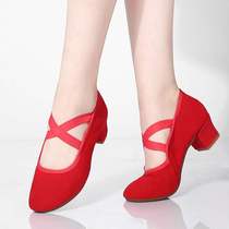 2020 Canvas Shoes Square Dance Shoes and Dance Shoes with Dance Shoes in the Soft Soft Soft Soft Sound